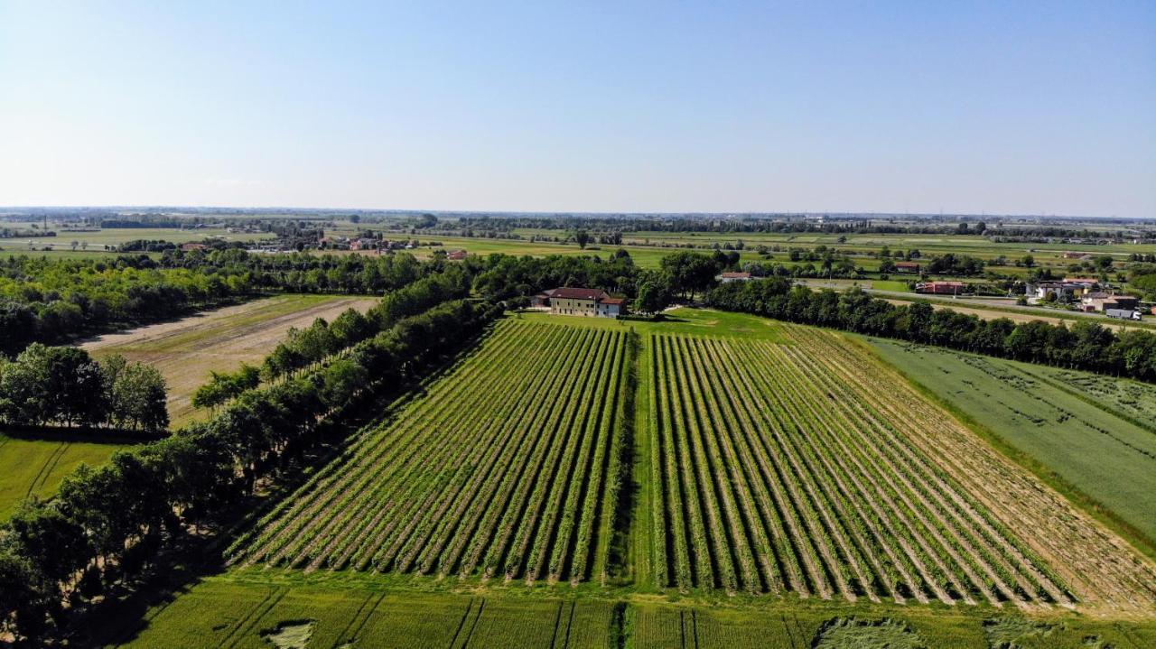 Agriturismo Ae Cavane Codevigo Εξωτερικό φωτογραφία