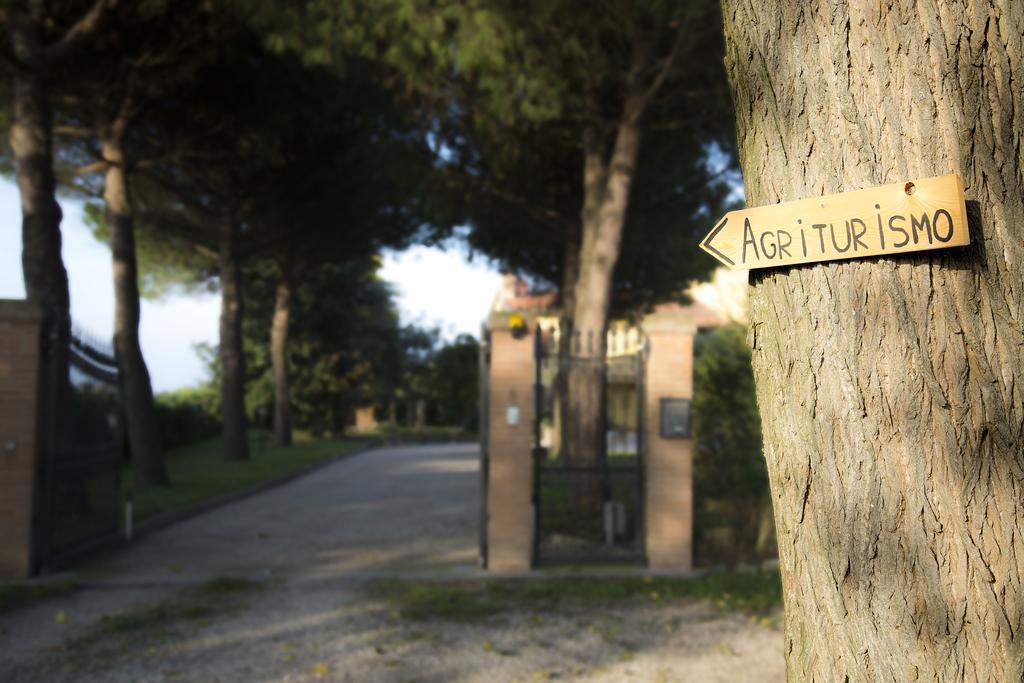 Agriturismo Ae Cavane Codevigo Εξωτερικό φωτογραφία